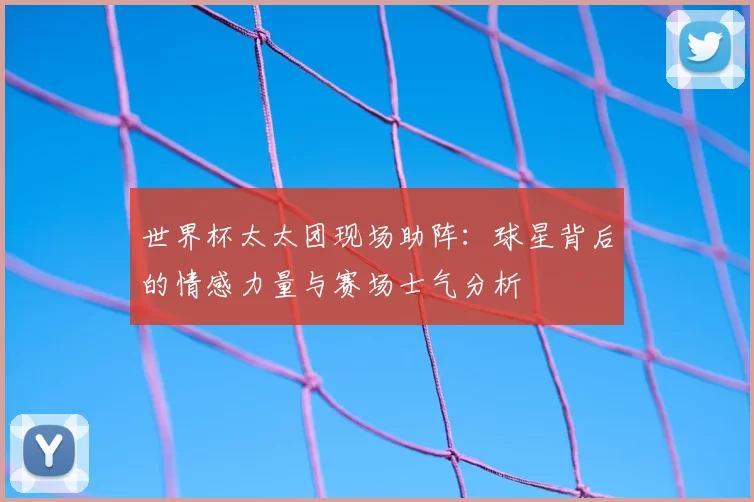 世界杯太太团现场助阵：球星背后的情感力量与赛场士气分析