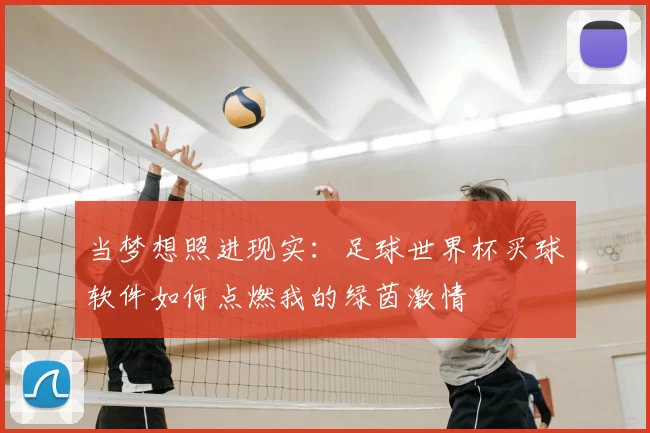 当梦想照进现实:足球世界杯买球软件如何点燃我的绿茵激情