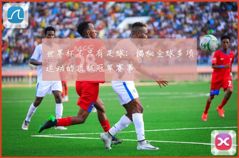 世界杯不只有足球:揭秘全球多项运动的顶级冠军赛事