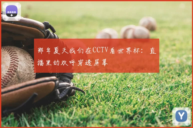 那年夏天我们在CCTV看世界杯：直播里的欢呼穿透屏幕