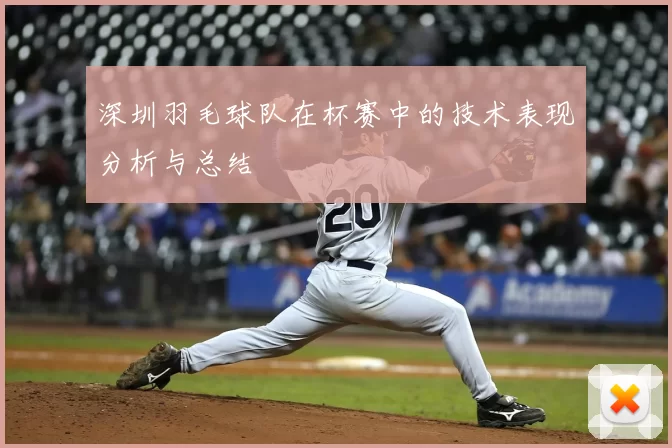 深圳羽毛球队在杯赛中的技术表现分析与总结