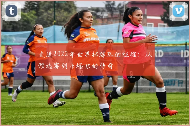 走进2022年世界杯球队的征程：从预选赛到卡塔尔的传奇