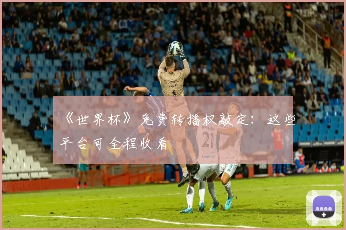 《世界杯》免费转播权敲定:这些平台可全程收看
