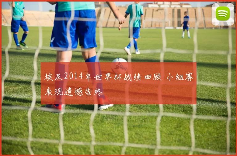埃及2014年世界杯战绩回顾 小组赛表现遗憾告终
