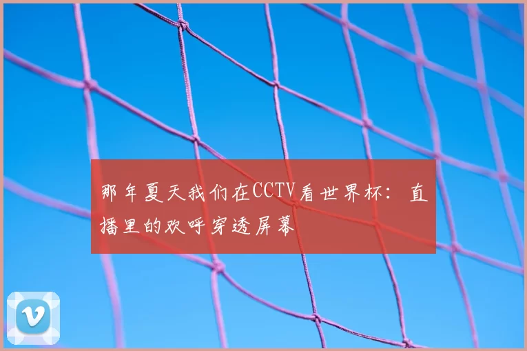那年夏天我们在CCTV看世界杯:直播里的欢呼穿透屏幕