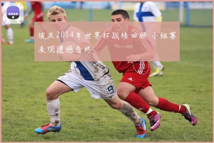 埃及2014年世界杯战绩回顾 小组赛表现遗憾告终
