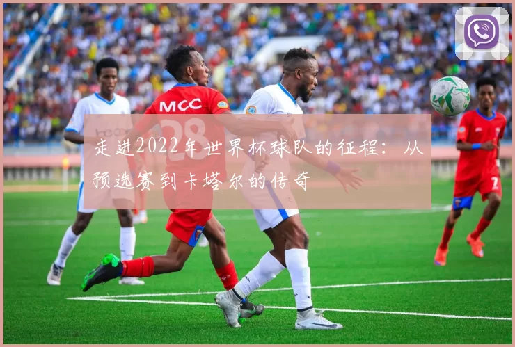 走进2022年世界杯球队的征程:从预选赛到卡塔尔的传奇