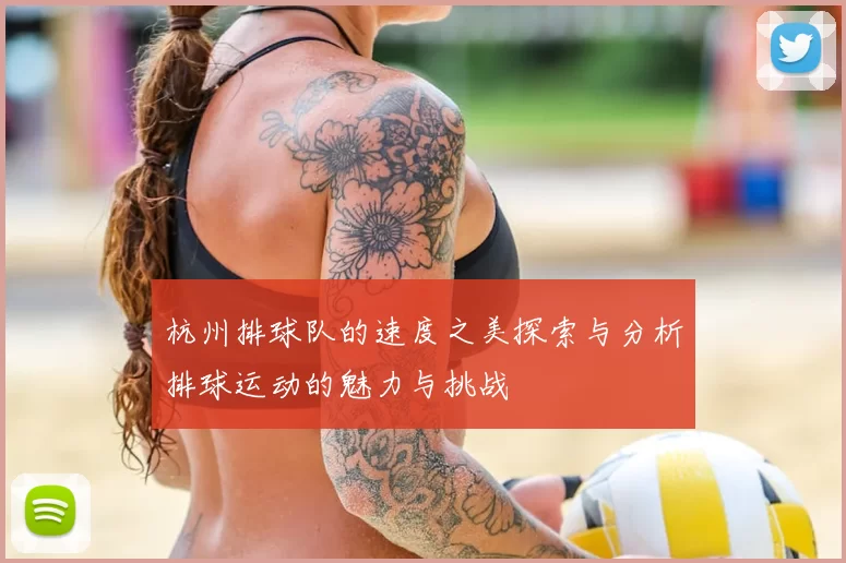 杭州排球队的速度之美探索与分析排球运动的魅力与挑战